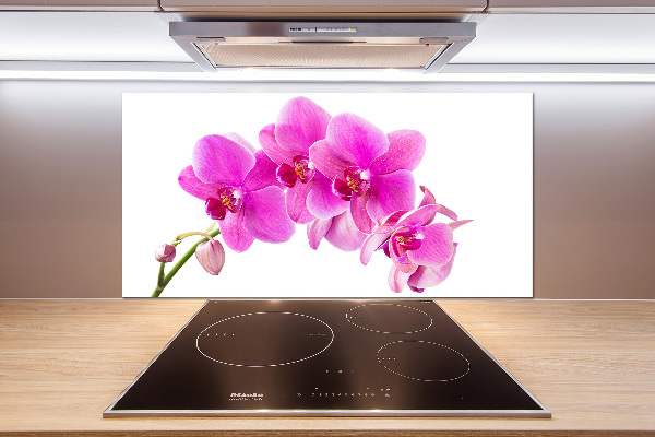 Kitchen splashback Pink orchid