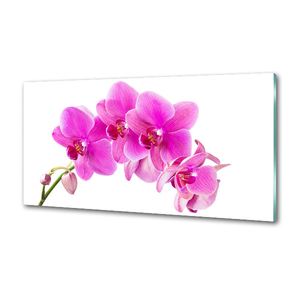 Kitchen splashback Pink orchid