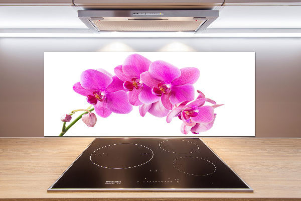 Kitchen splashback Pink orchid