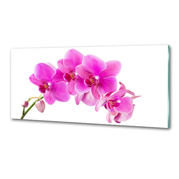 Kitchen splashback Pink orchid