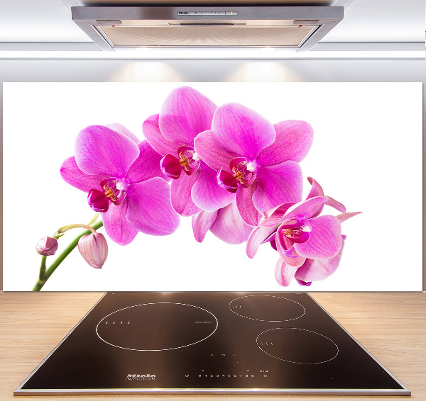 Kitchen splashback Pink orchid