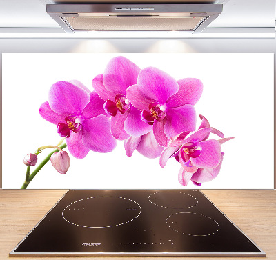 Kitchen splashback Pink orchid