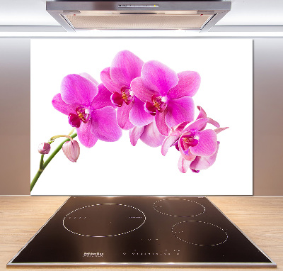 Kitchen splashback Pink orchid