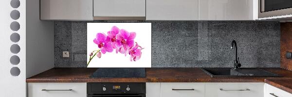 Kitchen splashback Pink orchid