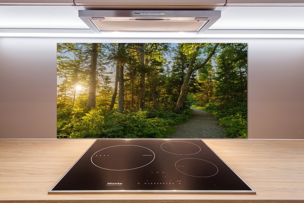 Kitchen splashback Forest