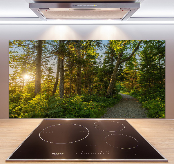 Kitchen splashback Forest