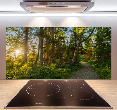 Kitchen splashback Forest