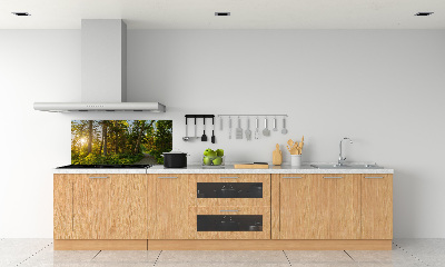 Kitchen splashback Forest