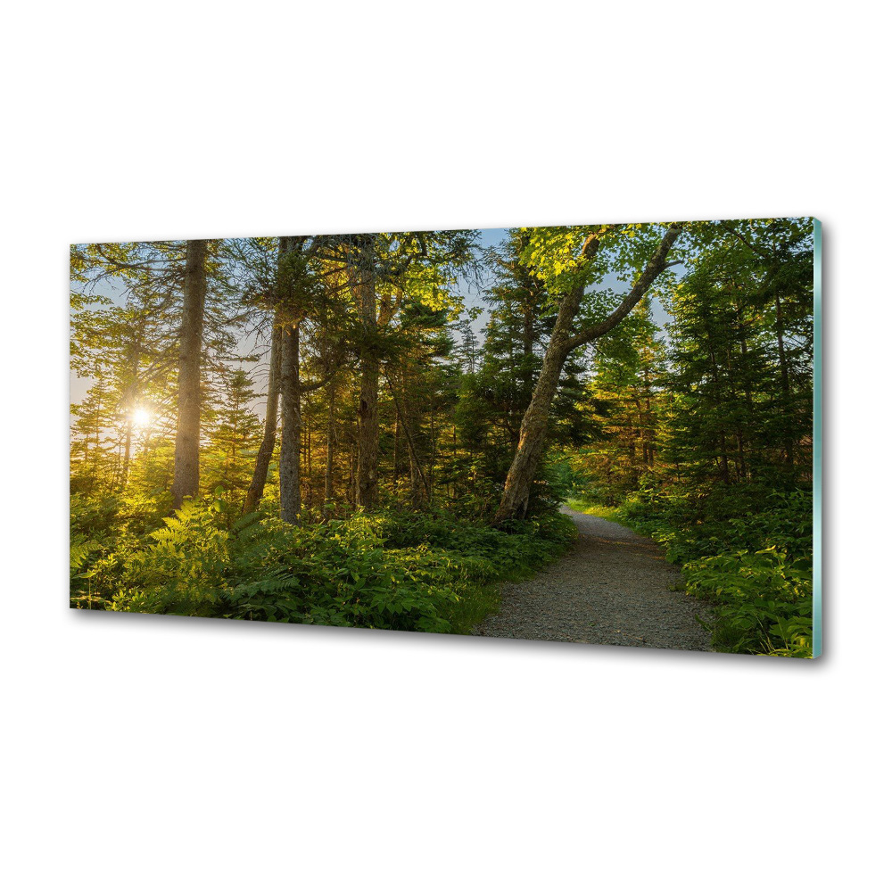 Kitchen splashback Forest