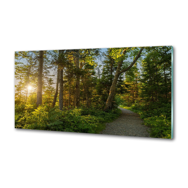 Kitchen splashback Forest