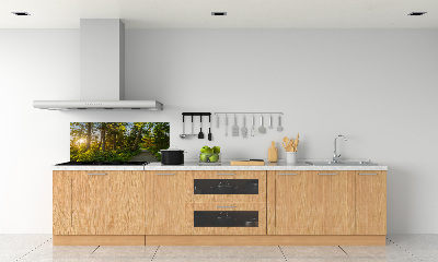 Kitchen splashback Forest