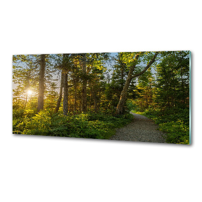 Kitchen splashback Forest