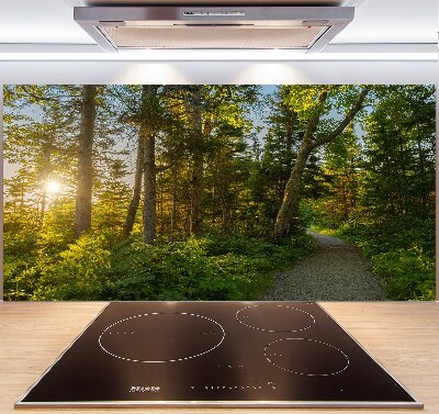 Kitchen splashback Forest