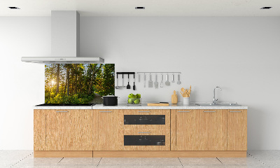 Kitchen splashback Forest