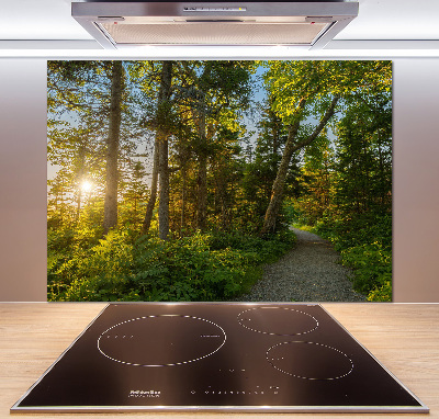 Kitchen splashback Forest