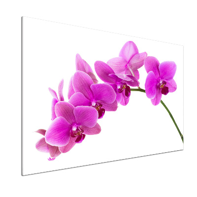 Kitchen splashback Pink orchid