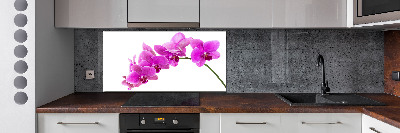 Kitchen splashback Pink orchid