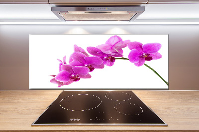 Kitchen splashback Pink orchid