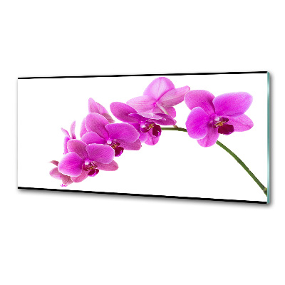 Kitchen splashback Pink orchid