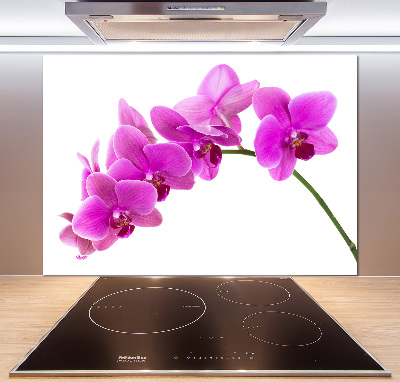 Kitchen splashback Pink orchid