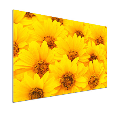 Kitchen splashback Sunflowers