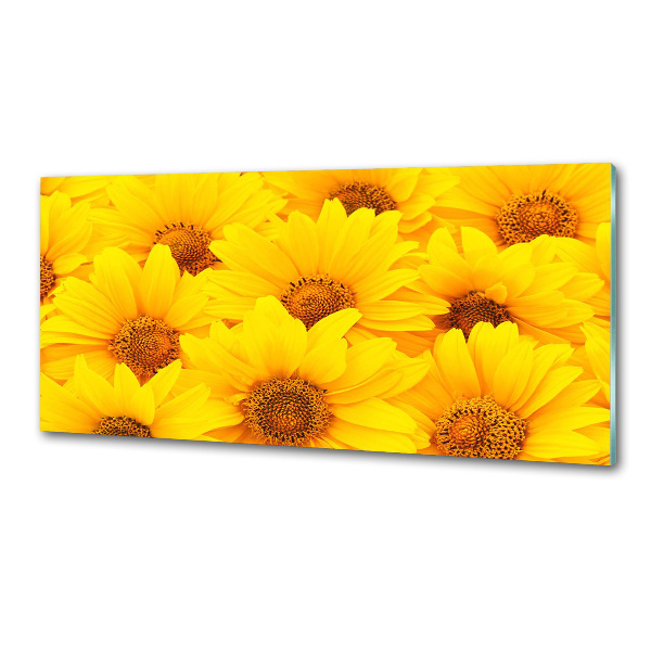 Kitchen splashback Sunflowers