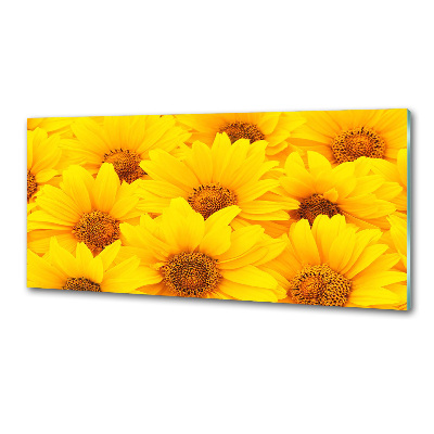 Kitchen splashback Sunflowers