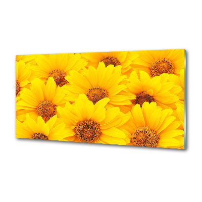 Kitchen splashback Sunflowers