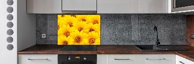 Kitchen splashback Sunflowers