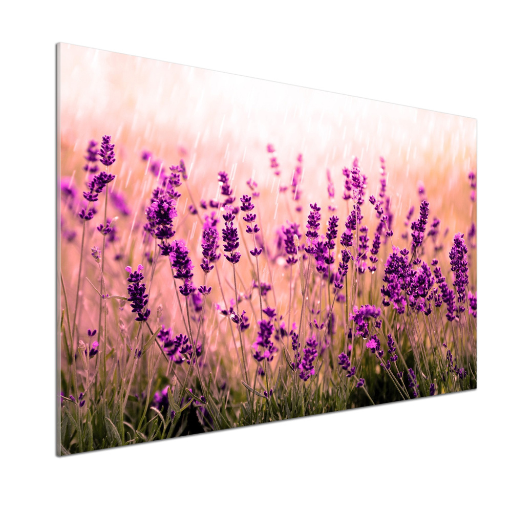 Kitchen splashback Lavender