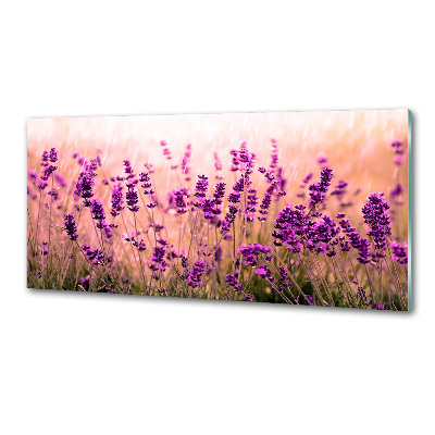 Kitchen splashback Lavender