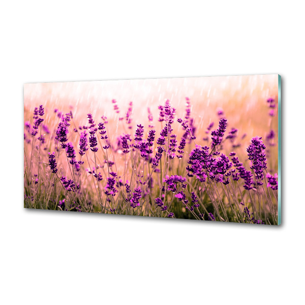 Kitchen splashback Lavender