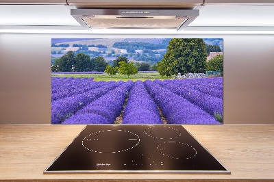 Kitchen splashback Lavender field