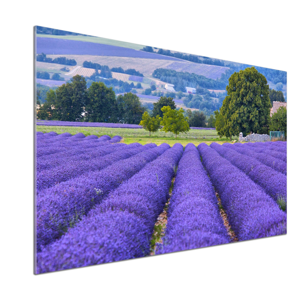 Kitchen splashback Lavender field