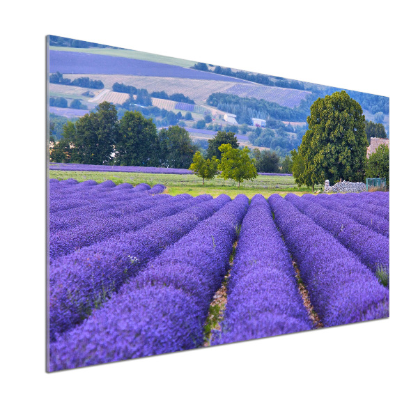 Kitchen splashback Lavender field