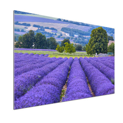 Kitchen splashback Lavender field