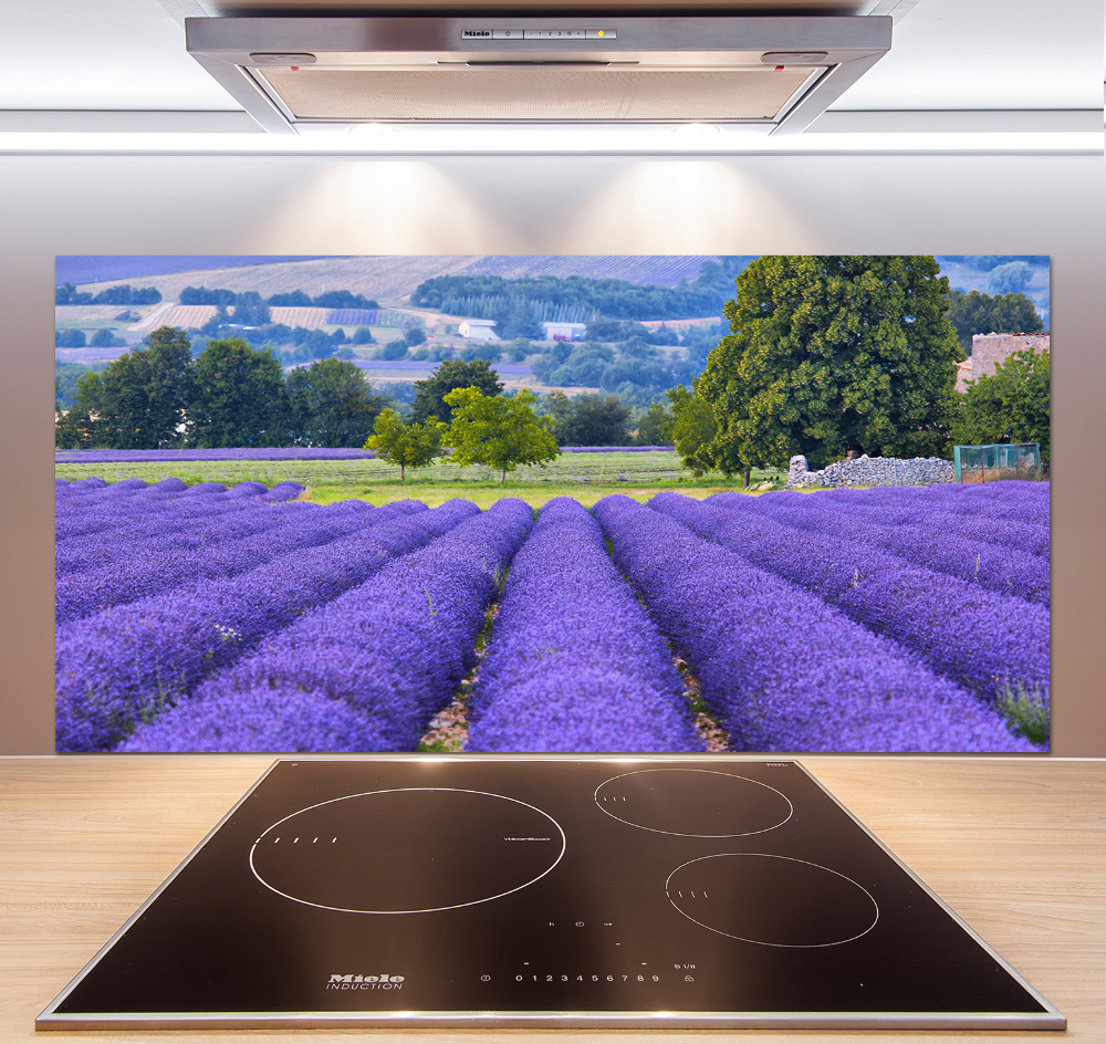 Kitchen splashback Lavender field