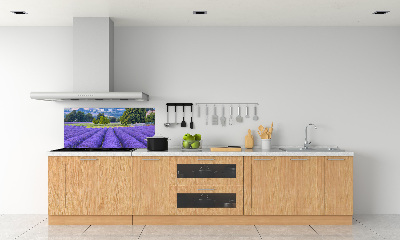 Kitchen splashback Lavender field