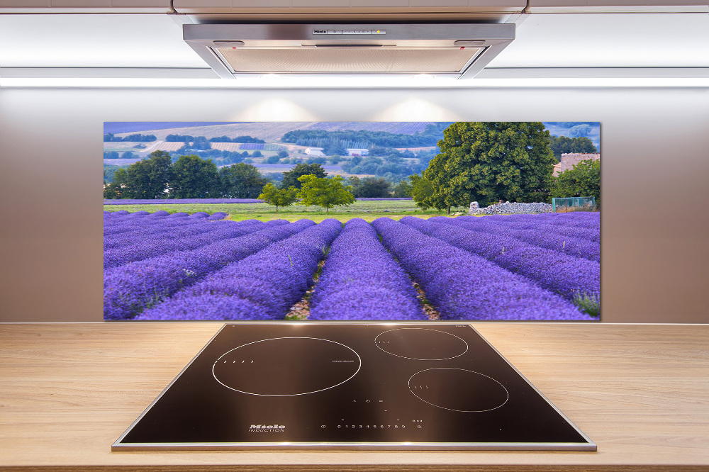 Kitchen splashback Lavender field