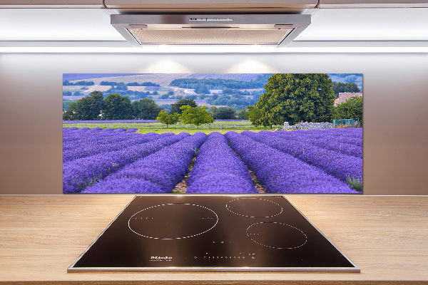 Kitchen splashback Lavender field