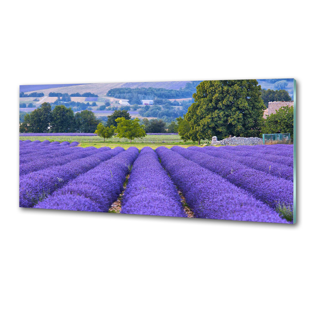 Kitchen splashback Lavender field