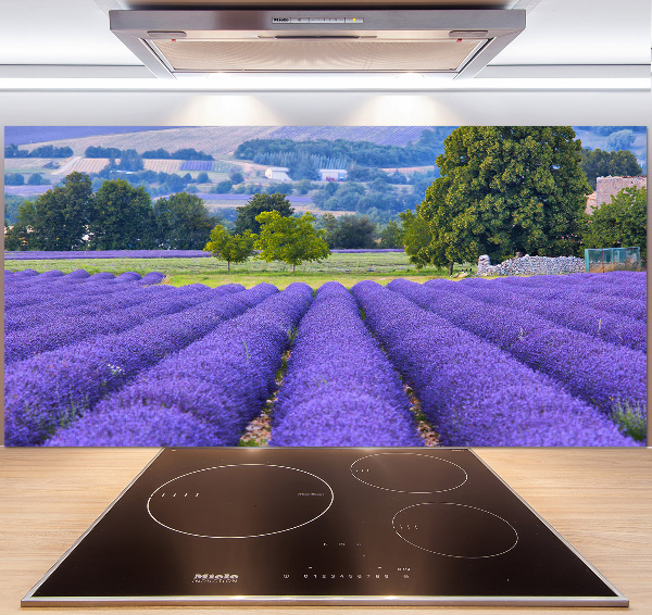 Kitchen splashback Lavender field