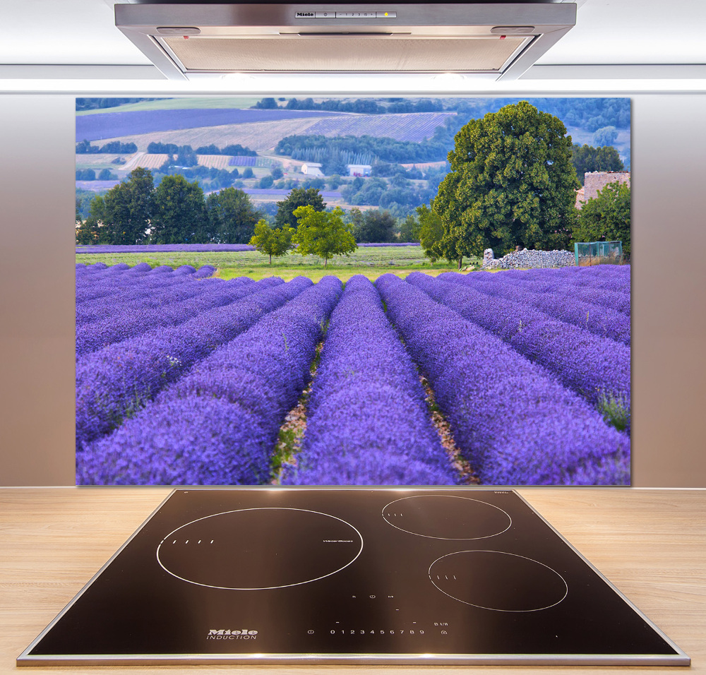 Kitchen splashback Lavender field