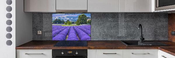 Kitchen splashback Lavender field