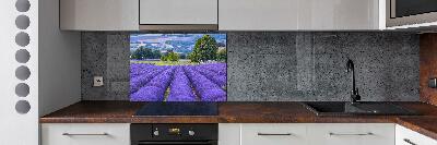 Kitchen splashback Lavender field