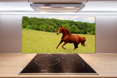 Kitchen splashback Horse on the meadow