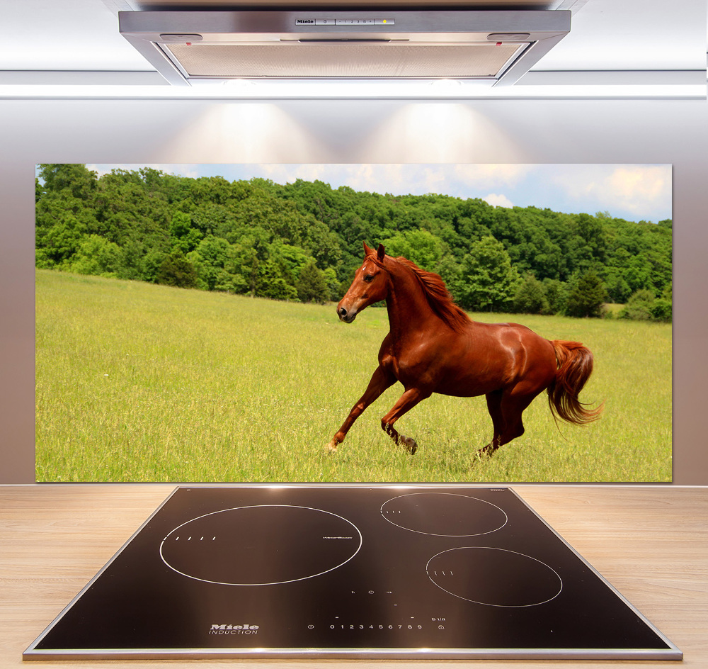 Kitchen splashback Horse on the meadow