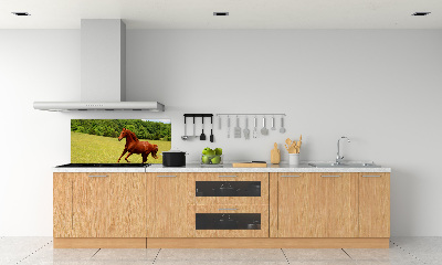 Kitchen splashback Horse on the meadow