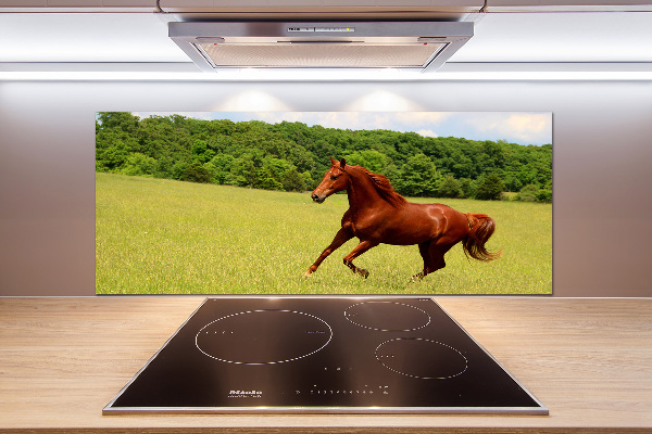 Kitchen splashback Horse on the meadow