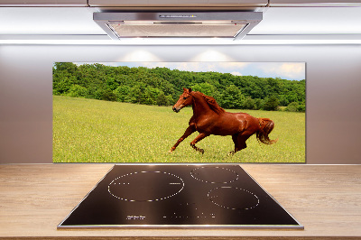 Kitchen splashback Horse on the meadow